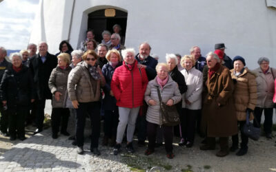 Silberlöwen zu Gast auf Schloss Ruegers