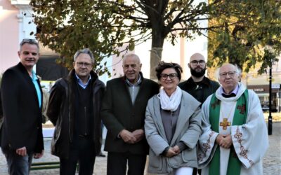 Wirtschaftsbund Hainburg finanzierte Linde am Hauptplatz der Mittelalterstadt