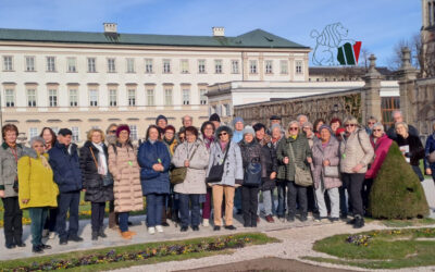 Tullner Silberlöwen beim Salzburger Advent